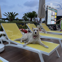 фото из отзыва ID 2353674