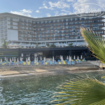 фото из отзыва ID 2353674