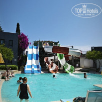 фото из отзыва ID 2353819