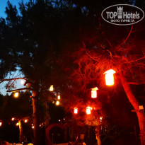 фото из отзыва ID 2353857