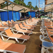 фото из отзыва ID 2353937