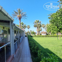 фото из отзыва ID 2353932