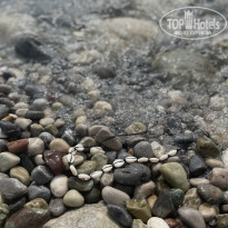 фото из отзыва ID 2353941