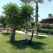 фото из отзыва ID 2354005