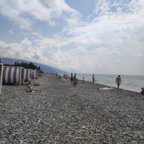 фото из отзыва ID 2354030