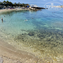 фото из отзыва ID 2354074