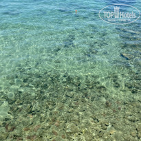 фото из отзыва ID 2354074