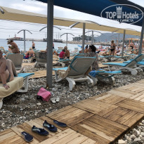 фото из отзыва ID 2354145