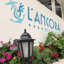 фото из отзыва ID 2354145