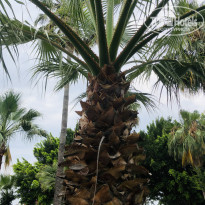 фото из отзыва ID 2354145