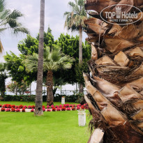 фото из отзыва ID 2354145