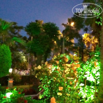 фото из отзыва ID 2354145