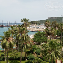 фото из отзыва ID 2354145