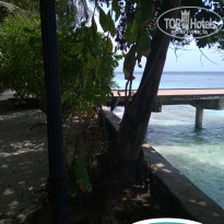 фото из отзыва ID 2357547