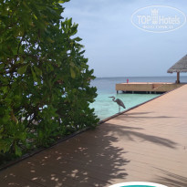 фото из отзыва ID 2357547