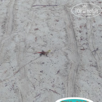 фото из отзыва ID 2357547