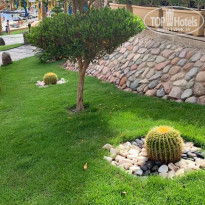 фото из отзыва ID 2357597