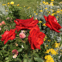 фото из отзыва ID 2357628