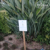 фото из отзыва ID 2357645