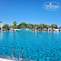 фото из отзыва ID 2357632