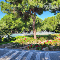 фото из отзыва ID 2357632