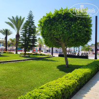 фото из отзыва ID 2357632