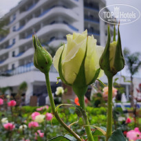 фото из отзыва ID 2357767