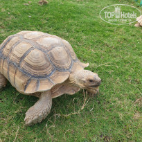 фото из отзыва ID 2357775