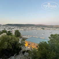 фото из отзыва ID 2357763