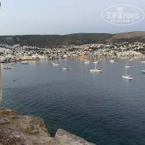 фото из отзыва ID 2357763