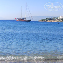 фото из отзыва ID 2357907