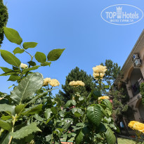 фото из отзыва ID 2357918