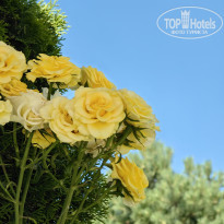 фото из отзыва ID 2357918