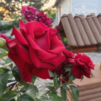 фото из отзыва ID 2357918