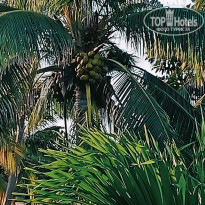 фото из отзыва ID 2357988