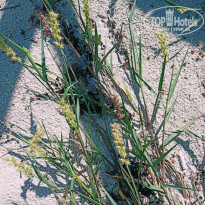 фото из отзыва ID 2357988