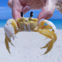 фото из отзыва ID 2357988