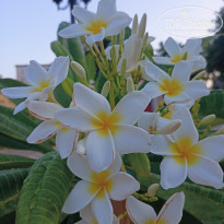 фото из отзыва ID 2357988