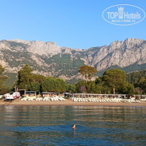 фото из отзыва ID 2358061