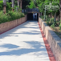 фото из отзыва ID 2358191