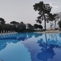 фото из отзыва ID 2358283