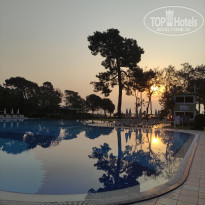 фото из отзыва ID 2358283