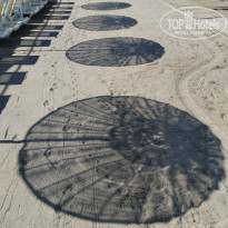 фото из отзыва ID 2358283