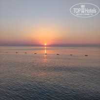 фото из отзыва ID 2358283