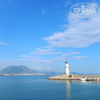 фото из отзыва ID 2358351