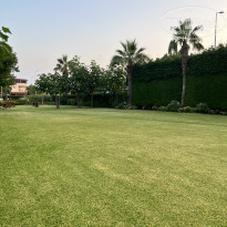 фото из отзыва ID 2358357