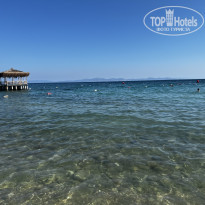 фото из отзыва ID 2358443