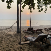 фото из отзыва ID 2358432