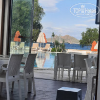 фото из отзыва ID 2358494