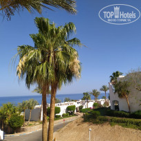 фото из отзыва ID 2358662